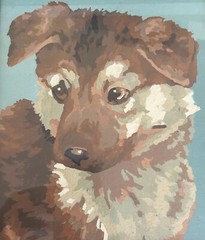 Craft Master Paint by Number Collie Puppy Dog Painting PBN 1978 Vintage Framed