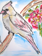 One Of A Kind – Original FEMALE CARDINAL BIRD Watercolor Painting