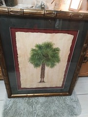 Carabe Palm l & li By Steve Butler Tropical Tree Contemporary (1970-2020)