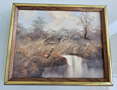 Original Oil Painting “Pheasant by the Reeds” – Peter Blake –Wildlife Art – COA