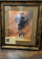 Limited Edition Print #460/950 „The American Bison“ signed by Edward Aldrich