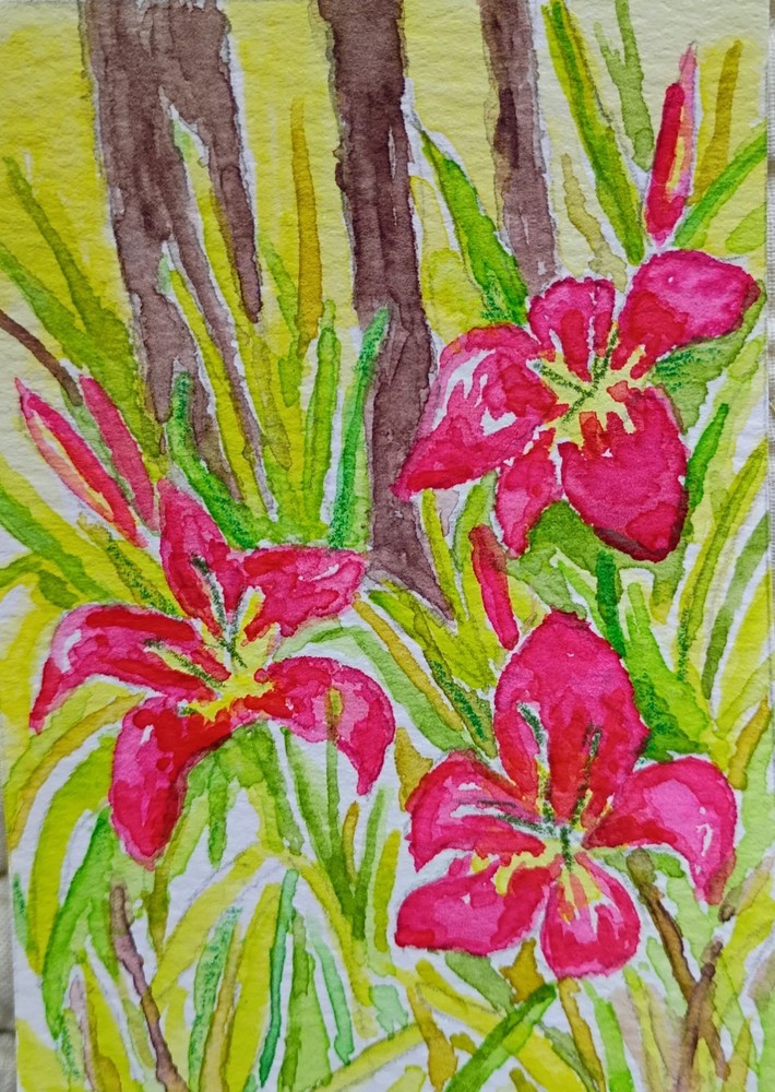 aceo original art Watercolor Painting Of Day Lilies By A Country Road