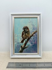 Bird Original Oil Painting 6×4 Framed Signed Wren Animal Miniature Nature Art