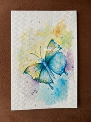 #039 Orginal Painted Watercolor Butterfly 4″ x 6″ Unframed Signed by MsDuste‘