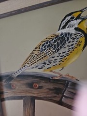 Vtg 1999 Original Acrylic Framed Art on Board Kansas Meadowlark Signed 15″ X 18″