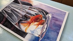 Goldfish Watercolor Painting Fish in Plastic Bag with Water Zodiac Pisces Art A4