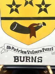Beautiful Vintage Hand Painted BURNS Family Crest & Coat Of Arms 9” x 12”