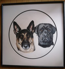 CHRIS HOY Wildlife Artist, Collectible Dog Portrait CANINE PAIR OF DOGS Vintage