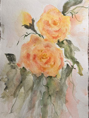 Beautiful original watercolor painting of peach roses, signed by artist. OOAK