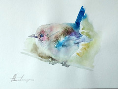 Fairy Wren, Birds, Watercolor artwork, Handmade, Original painting on paper
