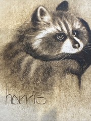 Peggy Harris Vintage 1981 Oil on Canvas Raccoon Painting 8 X 10
