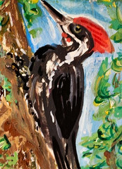 ORIGINAL ACEO PAINTING Pileated WOODPECKER Spring BIRD Animal Nature ATC ART