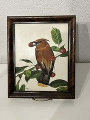 Original Oil Painting Cedar Waxwing with Cherry Bird Art D. McKinley 1930s