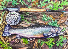 Watercolor Painting Fly Fishing Rod Fish Trout River ACEO Art No.243