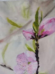 original watercolor painting gorgeous pink flowers blossom branch in bokeh style