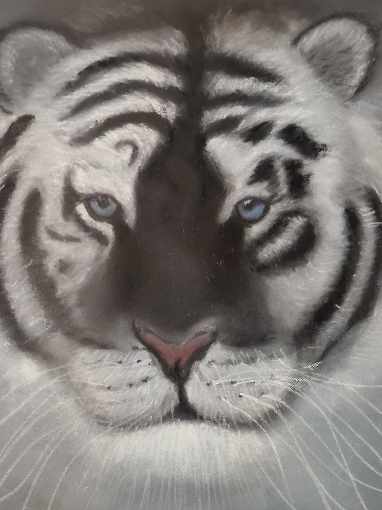 Outsider Folk Art original Color Pencil White Bengal Tiger with Pastel Blue Eyes