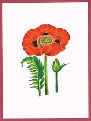 Hand Miniature Painting Of Red Floral Gouache Art On Paper 8.5×11.5 Inches