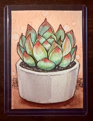 ACEO original OOAK painting, mixed media/watercolor, succulent plant, 2.5×3.5
