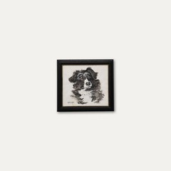 M.A.W – Framed 20th Century Watercolour, Quiller the Border Collie