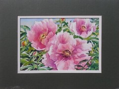 Jeanne Brenneman (American) Watercolor „Peonies“ Orig., Nice Technique, Signed