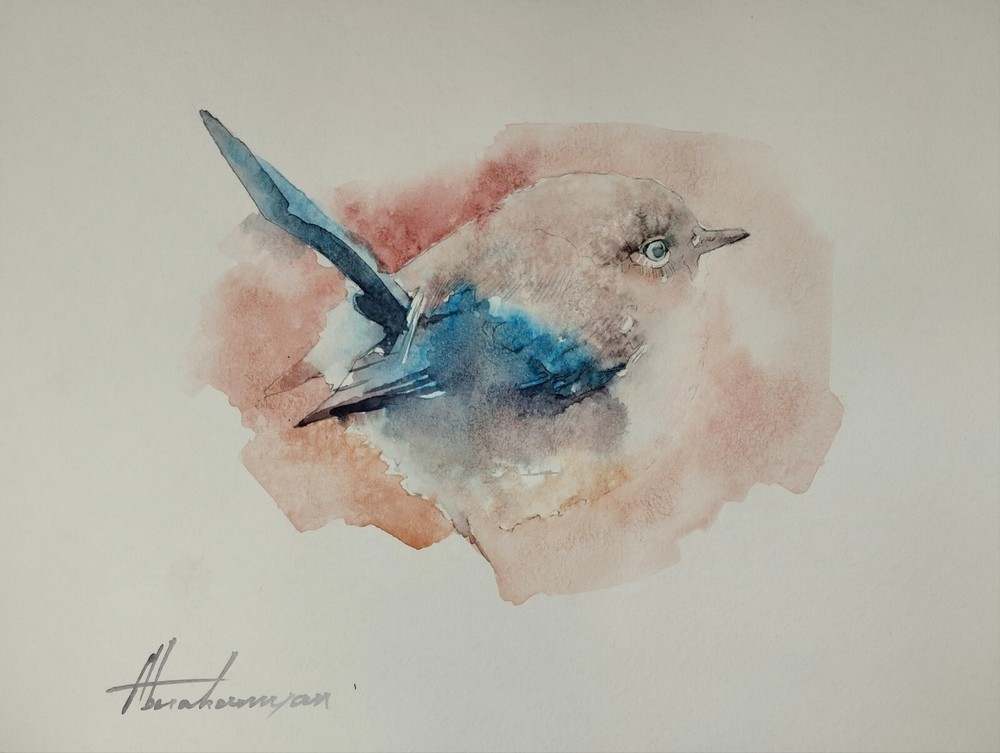 Fairy Wren, Birds, Watercolor artwork, Handmade, Original painting on paper
