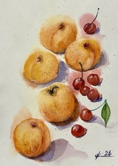 Original Watercolor Apricots & Cherries Painting Fruit Still Life Art 9×12 Inch