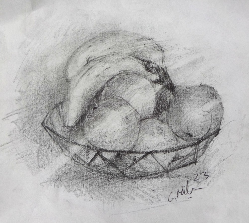 GERRY MILLER. “Still life, Fruit”. Pencil Drawing on Paper.18x16cm.
