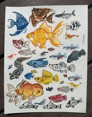 Watercolor Painting Signed Original 9×12 Colorful Tropical Fish Tiffany Chesser
