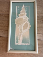 1982 Vintage Roy Williams Signed 3D Seashell Relief Wall Art Framed Set Of 3
