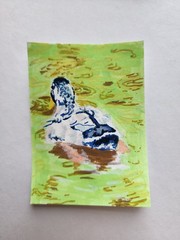ACEO Original Acrylic Painting Duck Swimming in Pond Water by Kiva