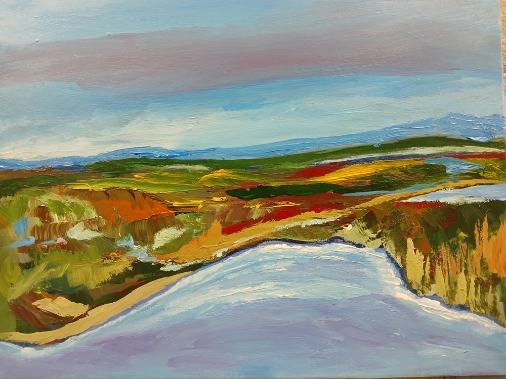Original Art Painting Acrylic Canvas 20″ X 16″ Abstract Landscape Aerial View