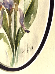 Original Art, Iris Watercolour Painting by Lyle, In Purple Frame 10″x 6 3/4″
