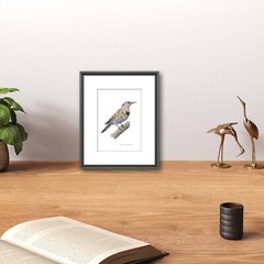 Northern Flicker Giclee Print of Hand-Painted Watercolor, Unframed