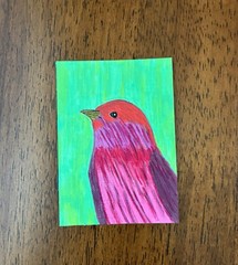 ACEO Original Bird Acrylic Painting 2.5 x 3.5. ~ Neon Feathers