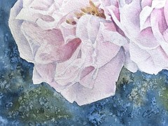 Floral Garden PINK ROSES Original Artwork Painting Flowers Landscape Art Gift A4