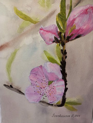 original watercolor painting gorgeous pink flowers blossom branch in bokeh style