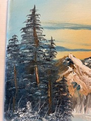 11 x 14 Oil Painting on Canvas…..“Winter Evergreens“