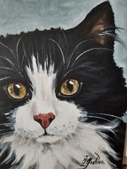 Fluffy Black and White Cat Original Oil Painting 8 by 8 Cat Green Eyes Fine Art