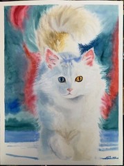 Original watercolor Cat Turkish Van White Angora Made to order pet portrait art