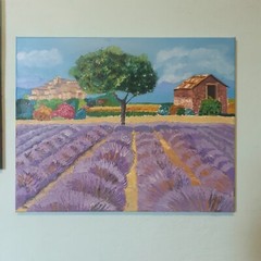 Original Oil painting Landscape Lavender by Andriy Stadnyk 19,7*15,8 inches