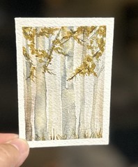 ACEO Ghostly Birch Trees, Watercolor Landscape Painting By Sasha Lehto