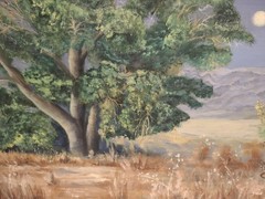 Wood Framed ‚Bonita Cottonwood‘ Oil Painting Shirley A. Seplak Willcox AZ 1993