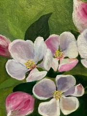 Apple Tree Blooming Spring Floral Original Painting Oil 20.5×20.5cm On eBay