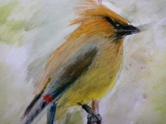 Gouache mixed media bird artwork