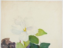 Beautiful Vintage Tropical Floral Painting of Blooming White Hibiscus, Fine!