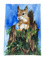 ACEO Original Painting Squirrel Woodland Animal Forest Miniature Art Signed OOAK