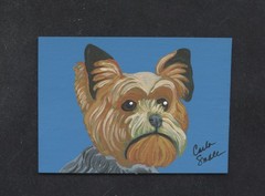 ACEO Original Miniature Painting Yorkshire Terrier Dog Pet Art-Carla Smale