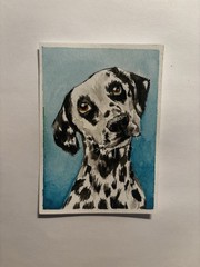 ACEO Original, CUSTOM PET PORTRAIT, COMMISSION, Mini Art Painting, jen_kmorgan