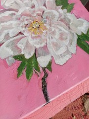 Original Oil Painting White Peony Flower Coral Pink 12×12″ Square Canvas Signed