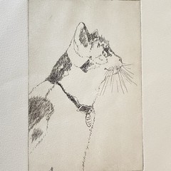 Original Woodblock Cat Etching By Fran Ritchie Yost